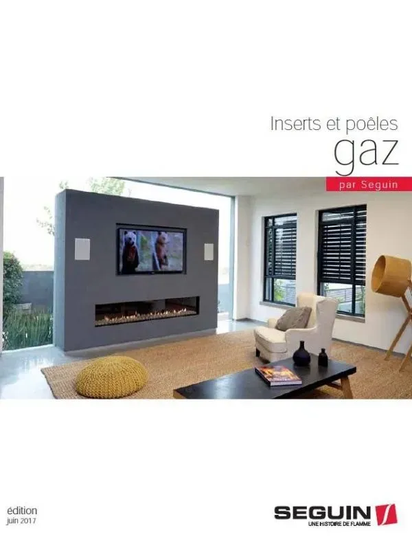 inserts et poeles gaz
